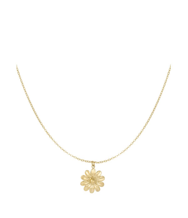 Blossom Bliss Ketting – Goud De Blossom Bliss Ketting is een betoverend sieraad dat de schoonheid van de natuur vastlegt. Met een delicate bloemvormige hanger die subtiel schittert, voegt deze ketting een elegante touch toe aan elke outfit. Gemaakt van hoogwaardige materialen, biedt hij zowel stijl als comfort. Perfect voor zowel dagelijks gebruik als speciale gelegenheden. Draag hem solo voor een verfijnde look of combineer hem met andere kettingen voor een trendy, gelaagd effect.